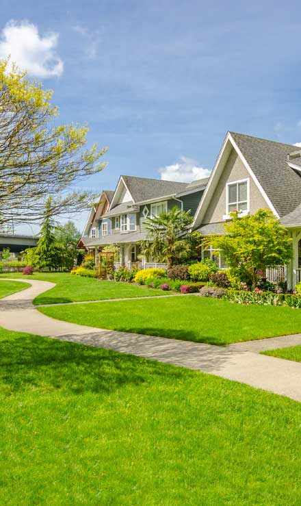 DeRoman Landscaping LLC Residential Lawn Care